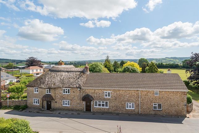 8 bed property, in Whitford Road, £795,000