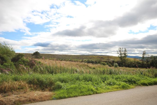 Studio, in Plot 2 Mossend, £80,000