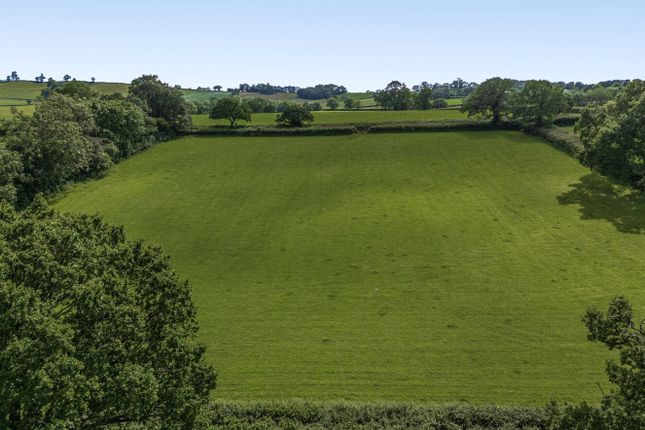 Land, in Awliscombe, £40,000
