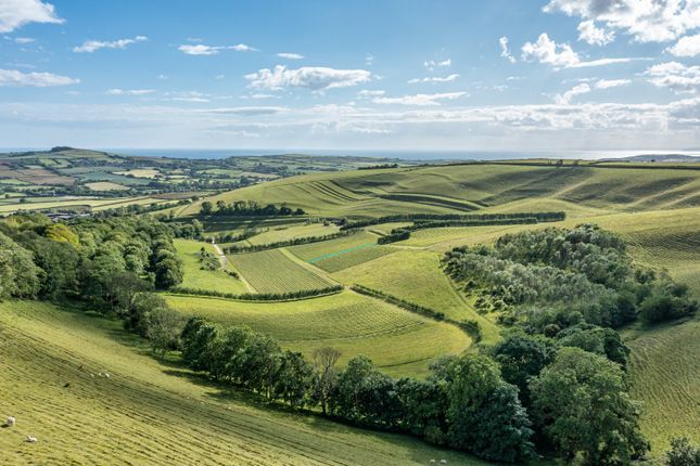 4 bed property, in Litton Cheney, £3,000,000