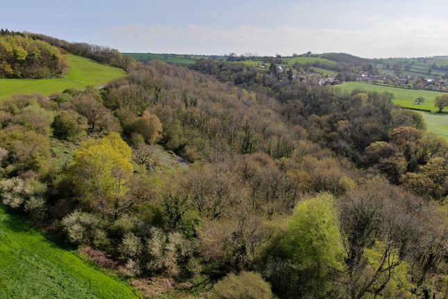 Studio, in Near Wells, £355,000
