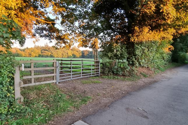 Studio, in Welder Lane, £31,500