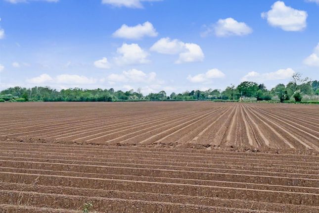 Land, in Land At Lawton Cross, £250,000
