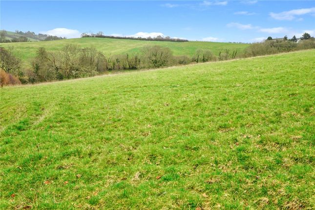 Studio, in Trewidland, £50,000