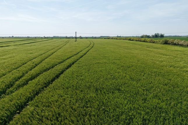 Studio, in Austen Fen, £315,000