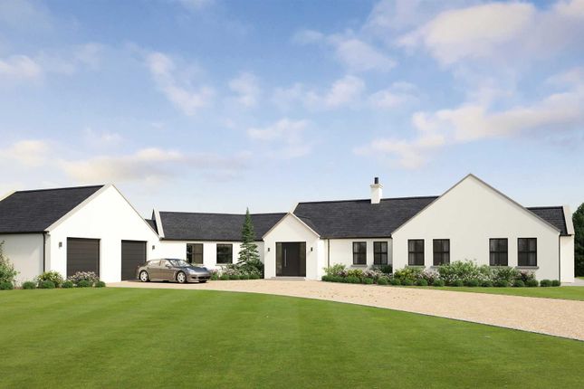 5 bed property, in 47 Crossgar Road, £150,000