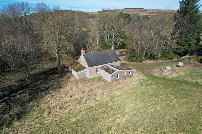 Studio, in Reswallie, £145,000