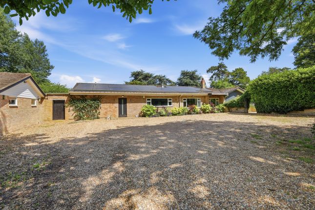 6 bed property, in Worlington, £900,000