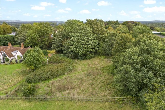 Studio, in Ockham Lane, £80,000