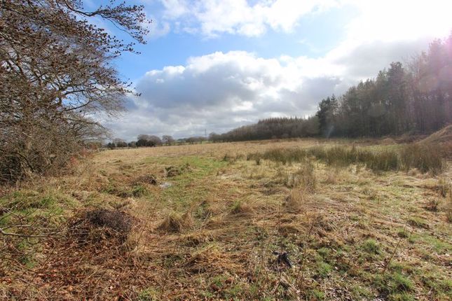Studio, in 5.2 Acres Strategic Land Whitburn, £100,000