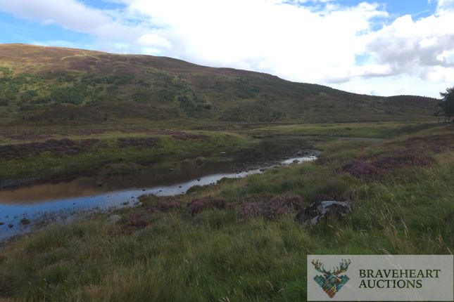 Land, in River Blackwater 9, £6,000