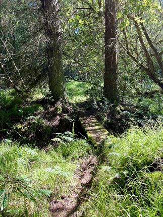 Studio, in Nr The Bog, £65,000