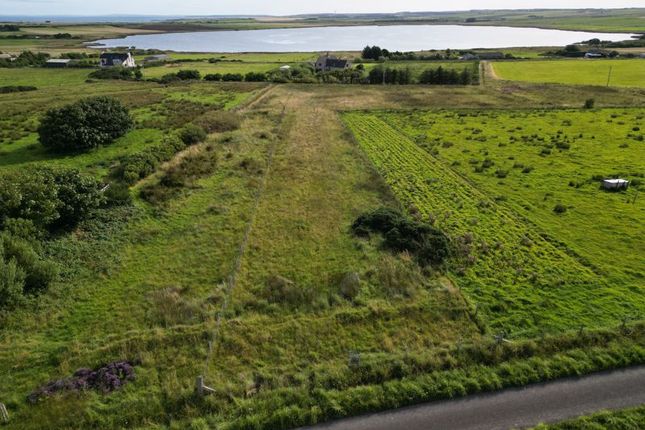 Studio, in Dunnet, £35,000