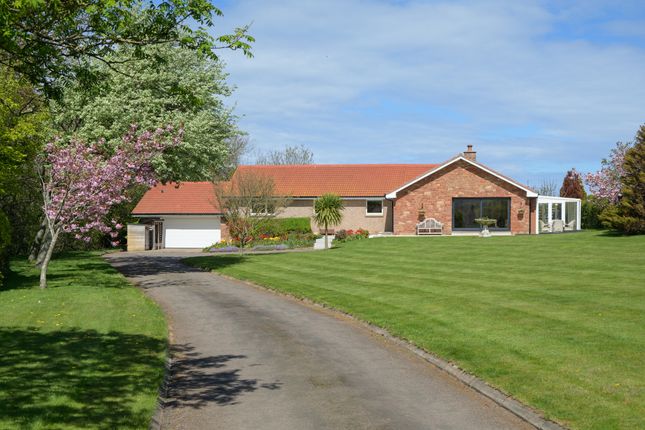 4 bed property, in Ogle Lodge, £600,000