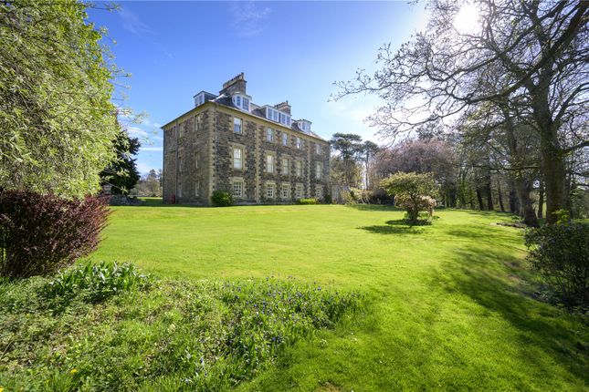 10 bed property, in Renton House, £985,000