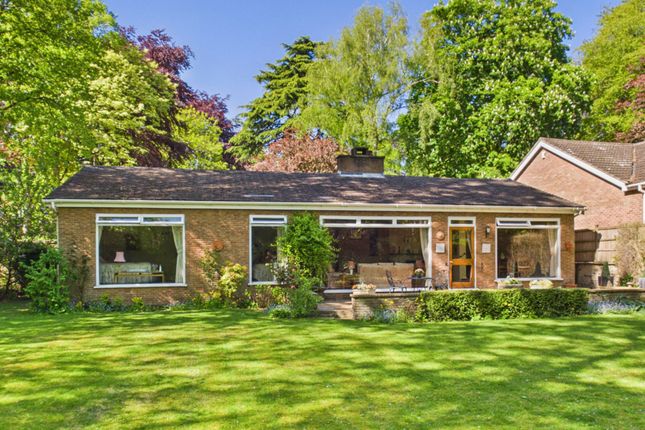 3 bed property, in Hatfield Road, £650,000