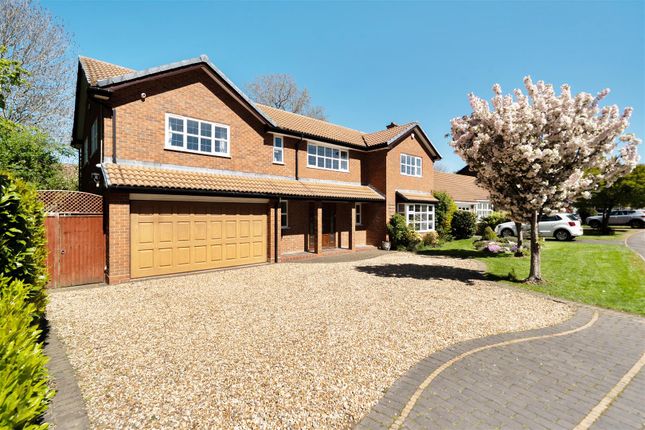 6 bed property, in Willowbank Road, £850,000
