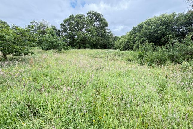 Studio, in Hatherleigh, £20,000