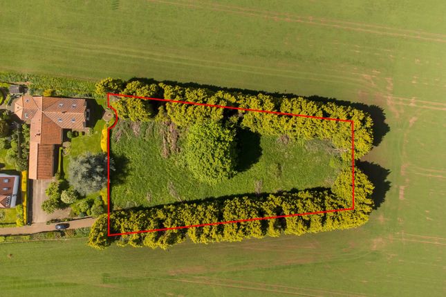 Studio, in Dirleton EH39, £695,000