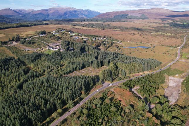 Land, in Rutting Season 10, £7,000