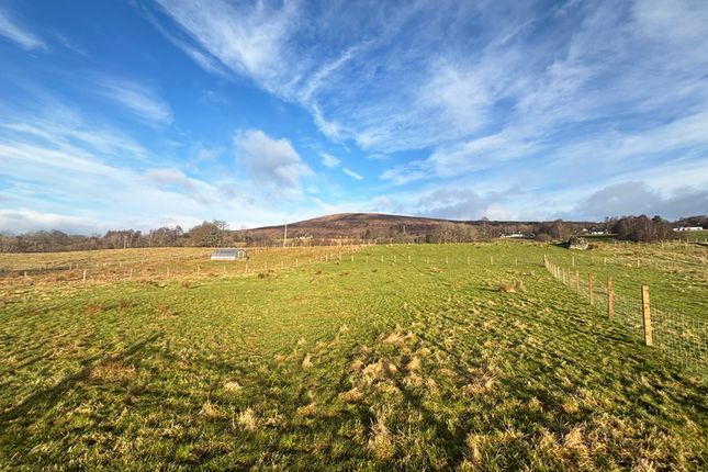 Studio, in Plots 2 & 3, £85,000