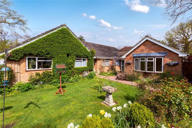 5 bed property, in Lindford, £785,000