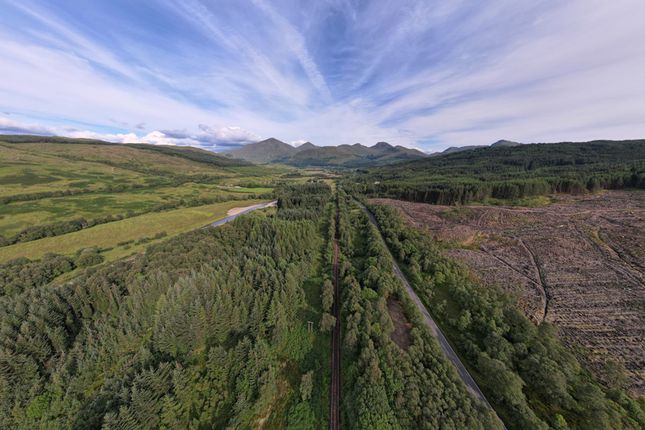 Land, in West Highland Way 11, £5,000
