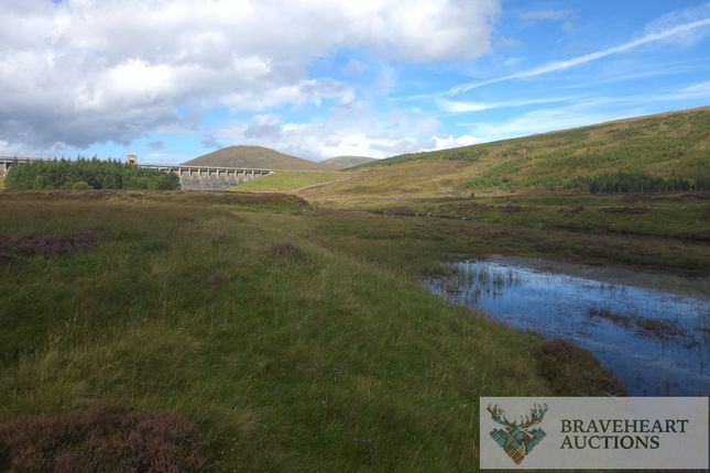 Land, in River Blackwater 8, £7,000