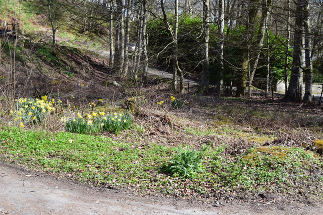 Studio, in Plot Of Land, £120,000