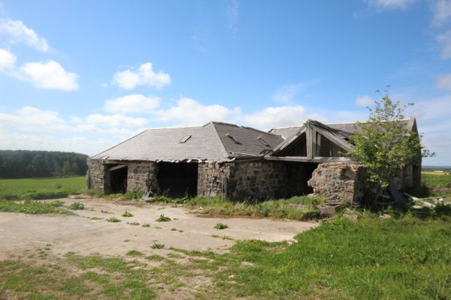 Studio, in Former Steading At Clackriach, £75,000
