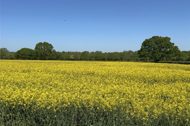 Land, in Ilminster, £945,000