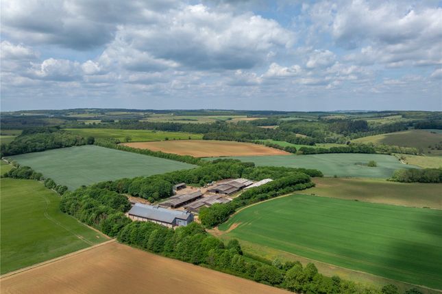 Studio, in Lot 2 | Alders Barn Farm, £11,500,000