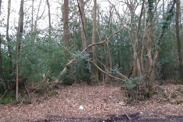 Land, in Land In Surrey, £17,000