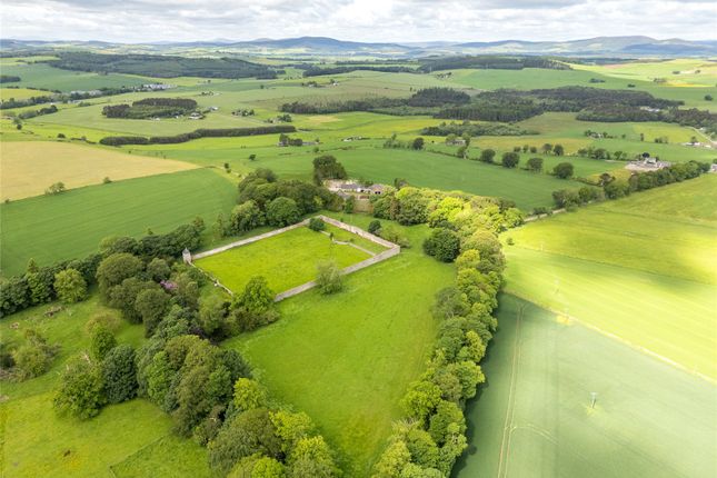 Studio, in Skene Estate (Lot 1), £1,600,000