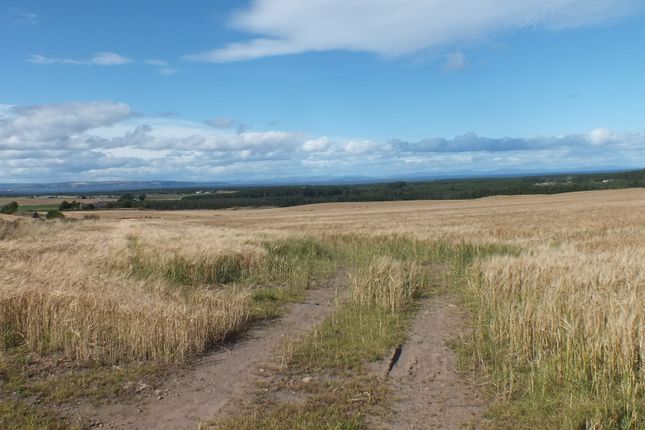 Studio, in Moyness, £95,000