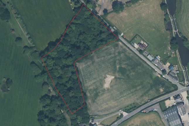 Land, in Wildforest Wood, £40,000