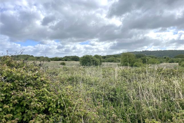 Studio, in Land Lying To The South-West Of, £50,000