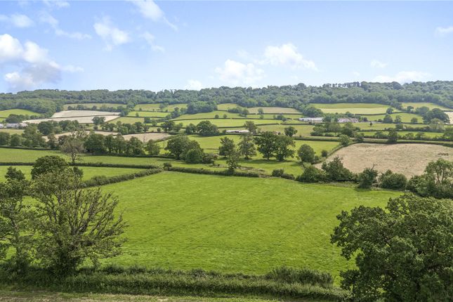 Land, in Awliscombe, £250,000