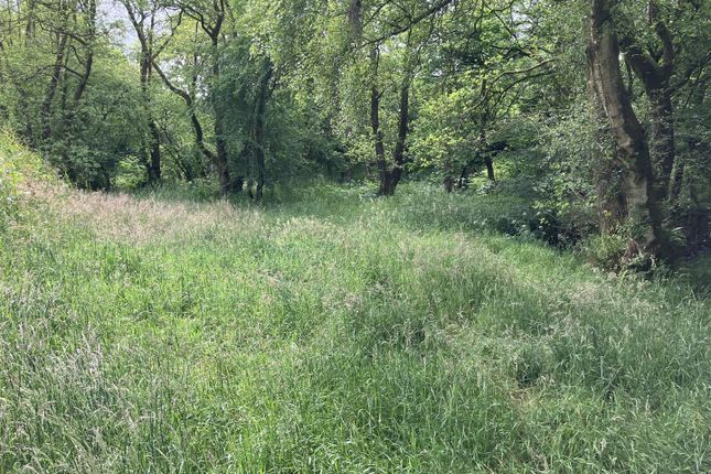 Land, in Llanyre, £30,000