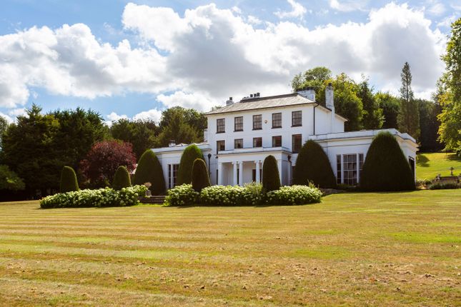 9 bed property, in Munden Road, £5,000,000