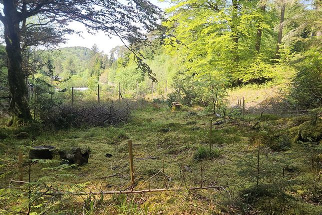 Studio, in Duncraig, £65,000