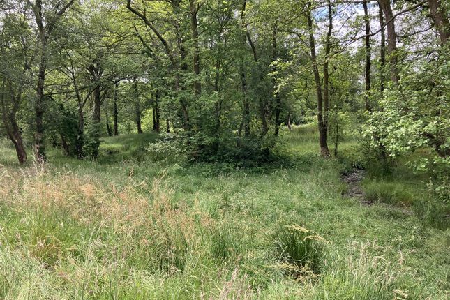 Land, in Llanyre, £30,000
