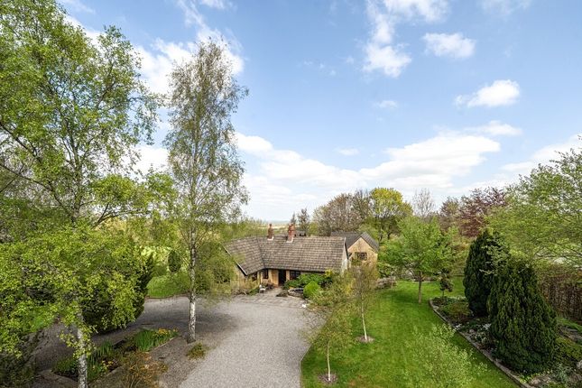 7 bed property, in Hodson Road, £1,000,000