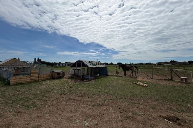 Land, in The Paddocks At Brooks Lane, £50,000