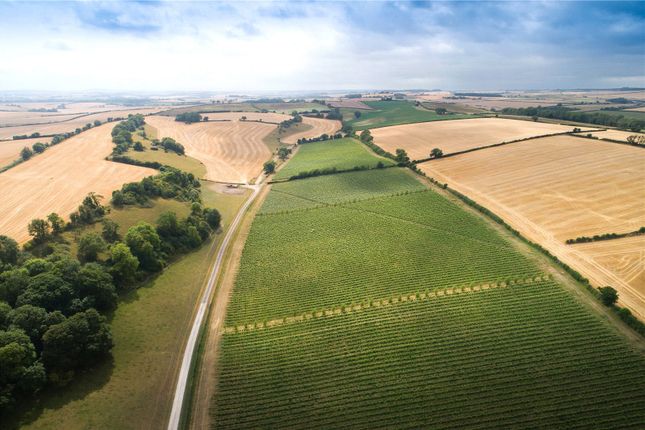 Studio, in Piddlehinton, £1,000,000