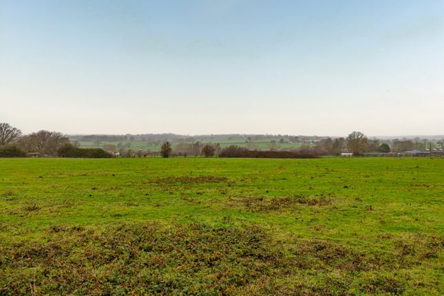 Studio, in Plot 8, £20,000