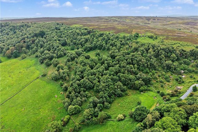 Land, in Westcliffe, £95,000