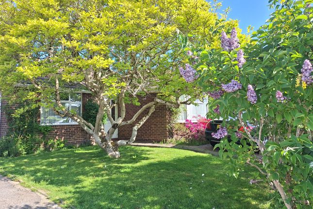 3 bed property, in Blackmoor Wood, £525,000