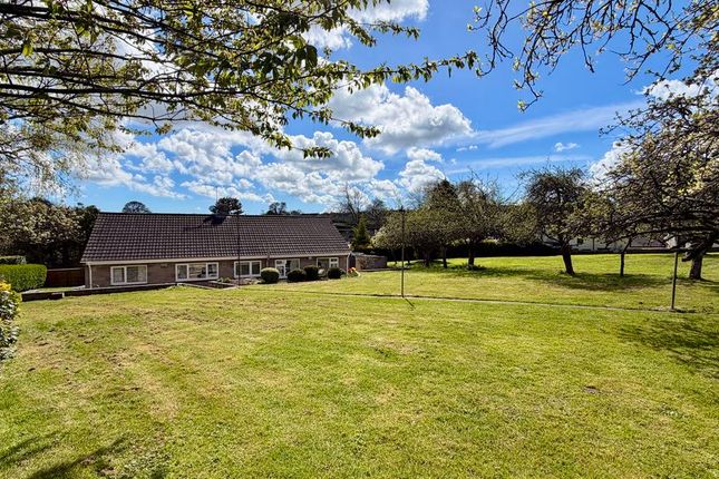 3 bed property, in Holway, £525,000