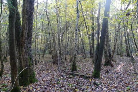 Land, in Russ Hill, £8,000